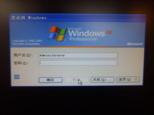 計算機用戶賬戶 概念、類型與管理